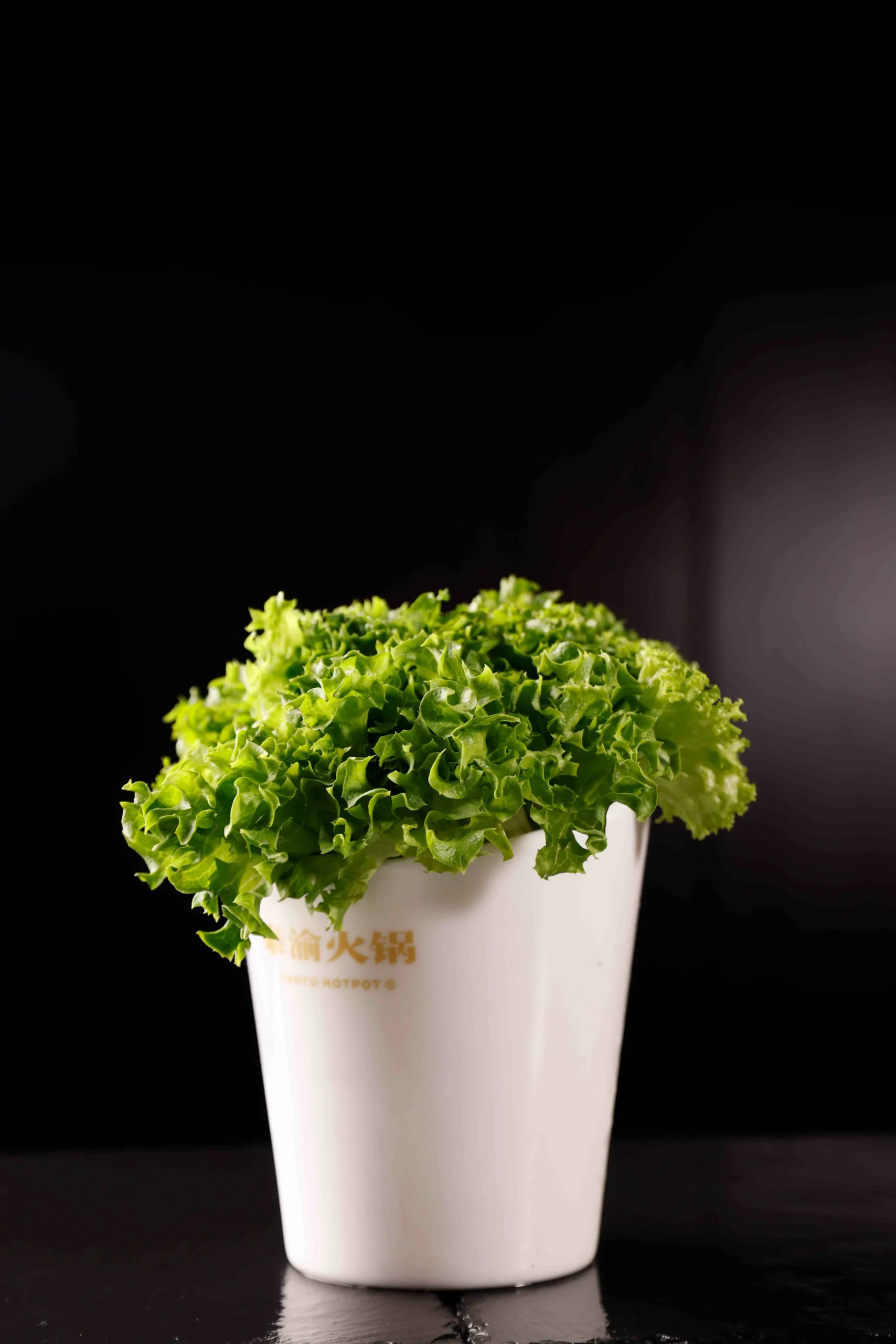 生菜lettuce16AED-min-转换自-JPG