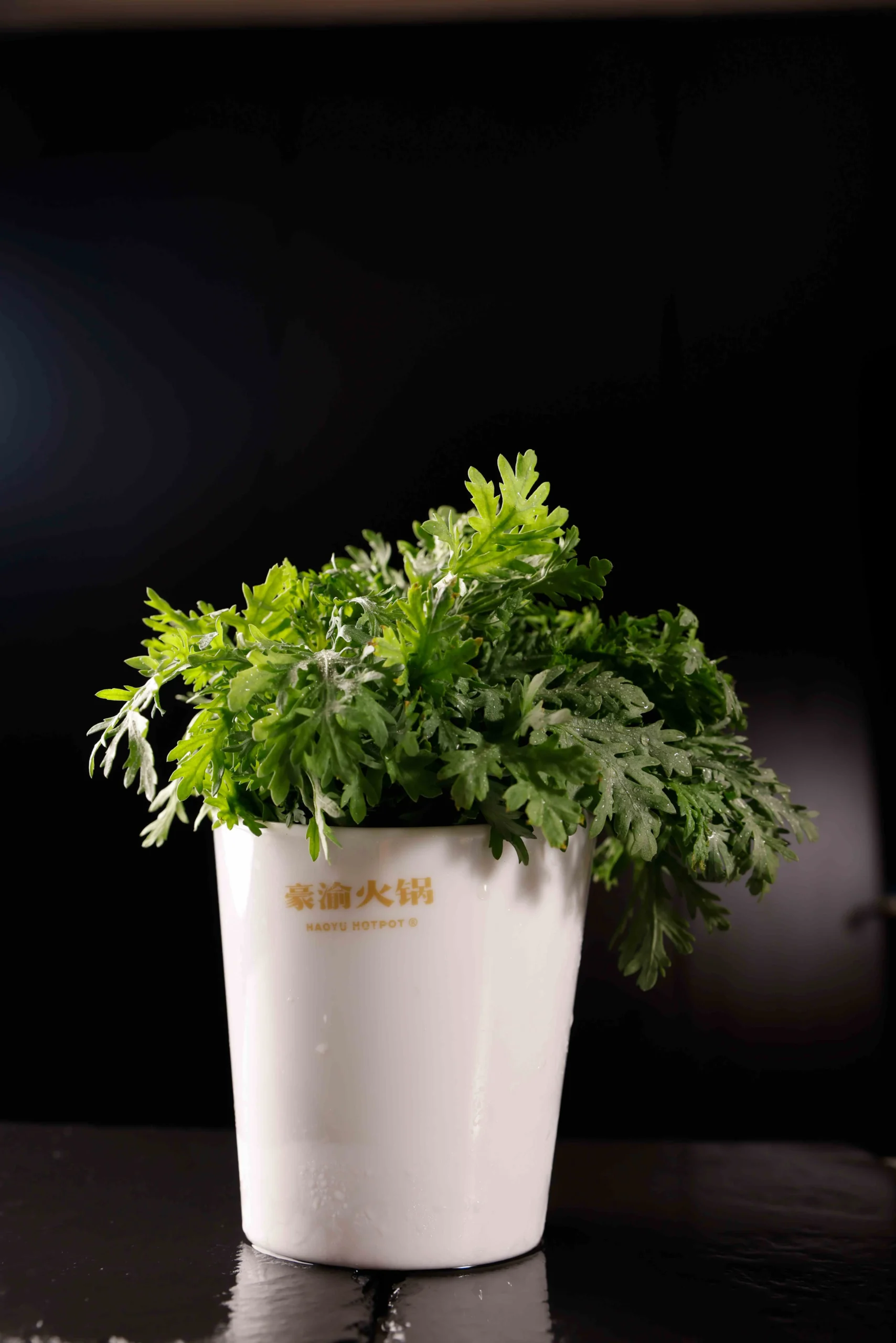茼蒿菜Chrysanthemum coronarium12AED-min-转换自-JPG